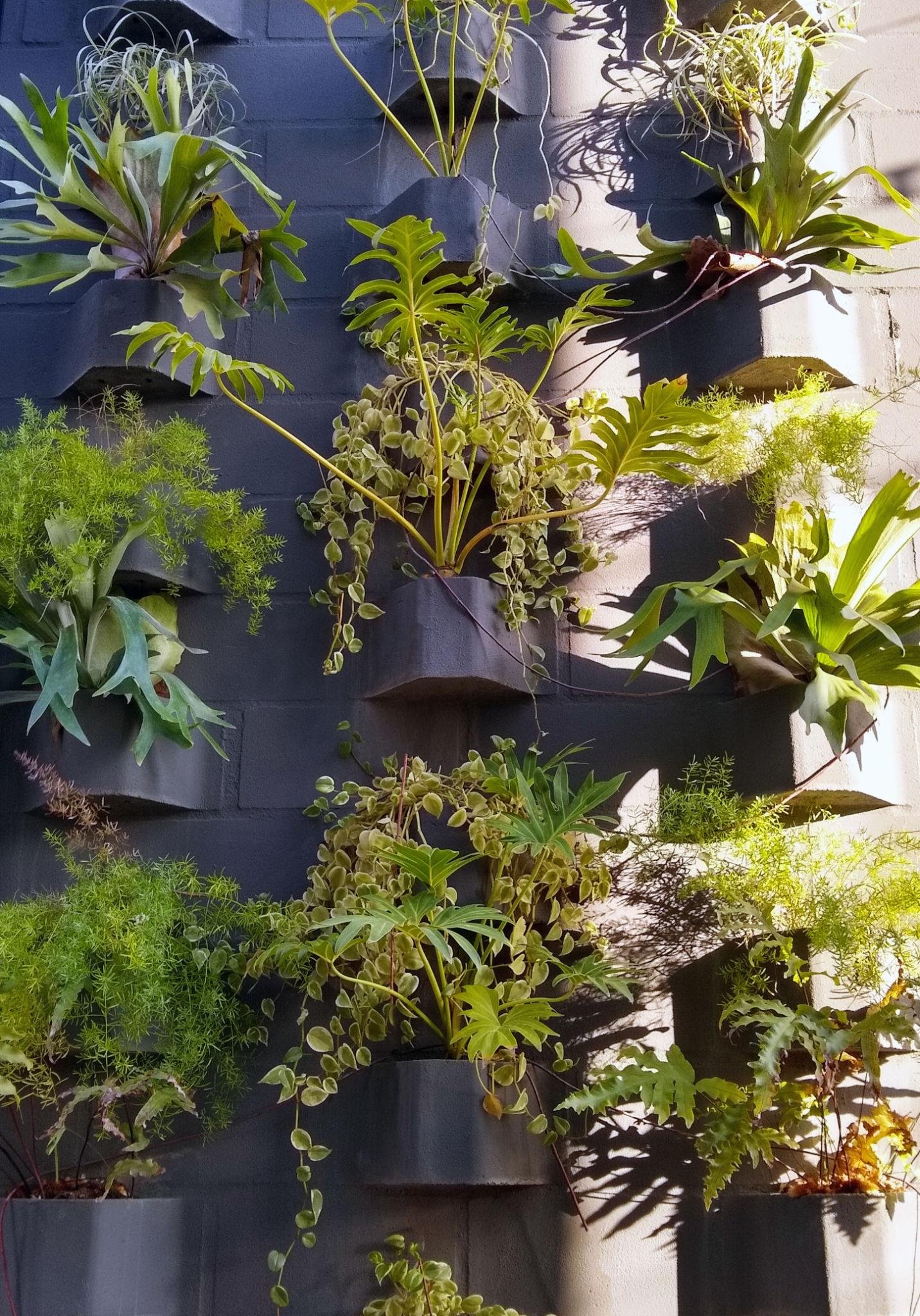 Vertical Garden Wall System: 7 Powerful Ways to Improve Indoor Air Quality Fast