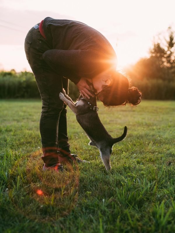 pexels-lstan-2666154