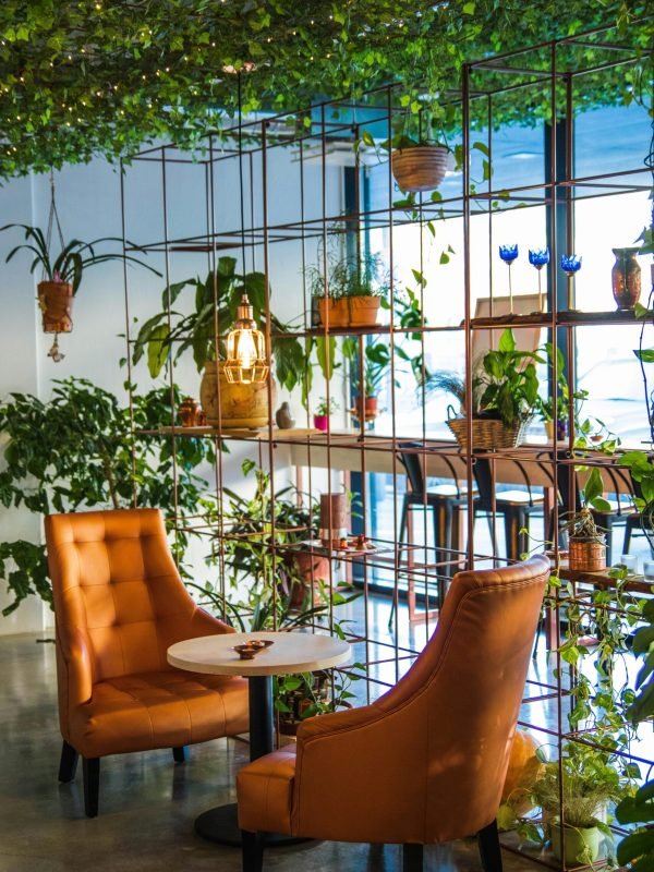 pexels-valeriya-827518